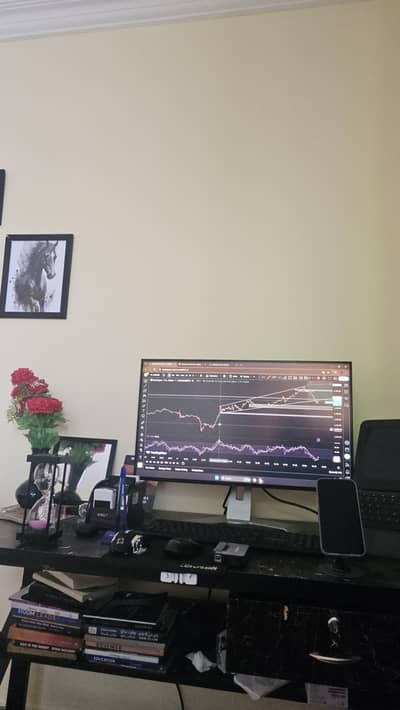 Screen for gaming and trading setup From Z Monitor
