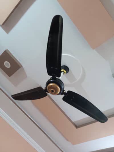 Royal Ceiling Fan for Sale - 9/10 Condition