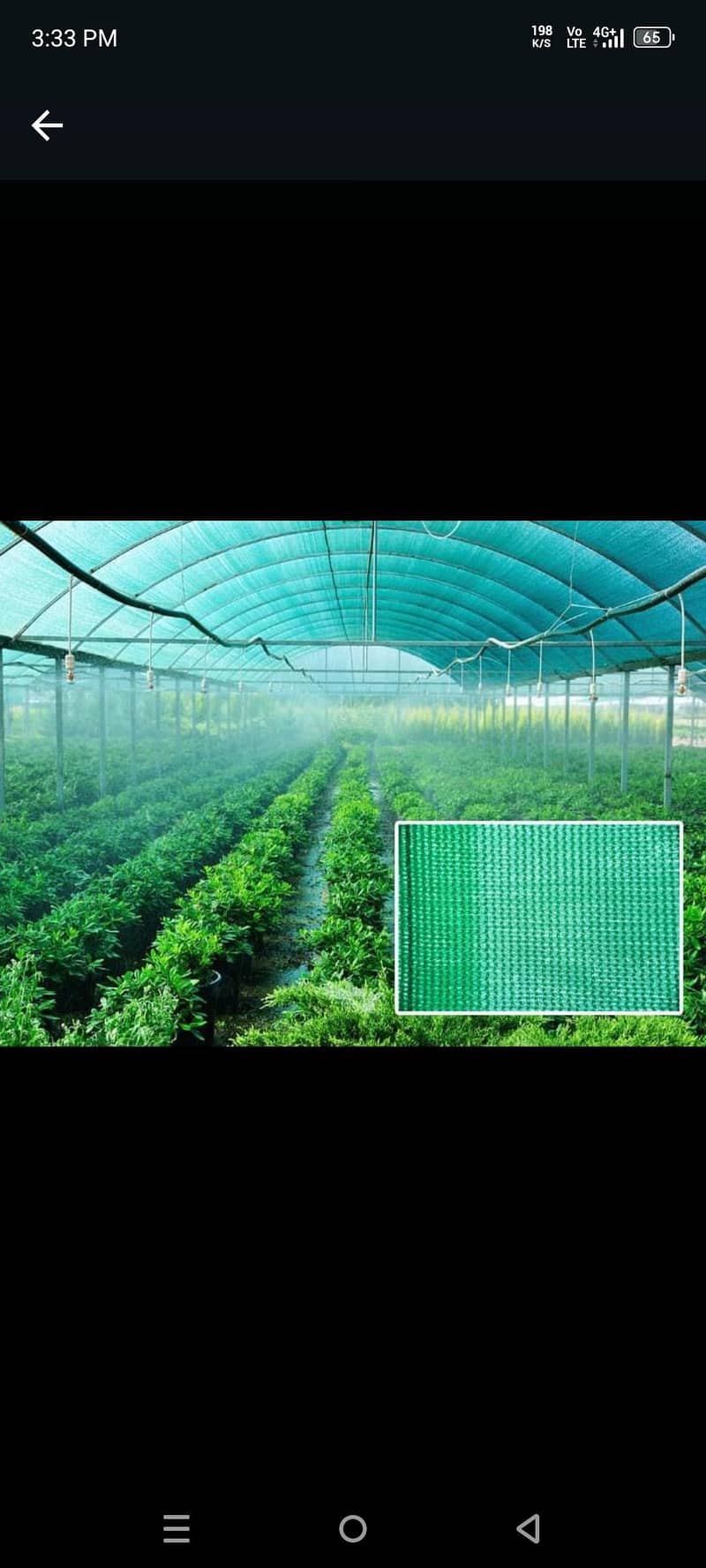 grass mat 5