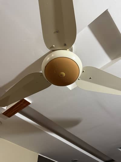SK Ceiling Fans total 7 fans