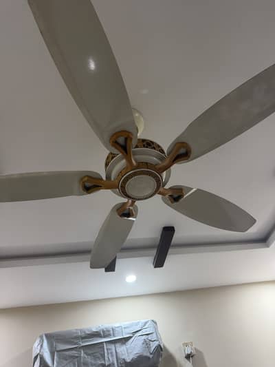 GFC 5 blade ceiling Fan