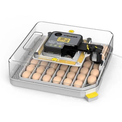 48 eggs fully automatic hatchery machine incubator