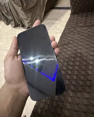 iPhone 13 Pro Max pta