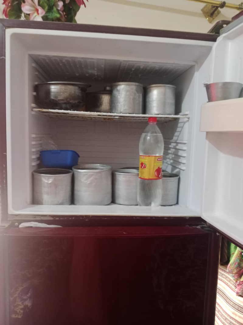 orient fridge 3