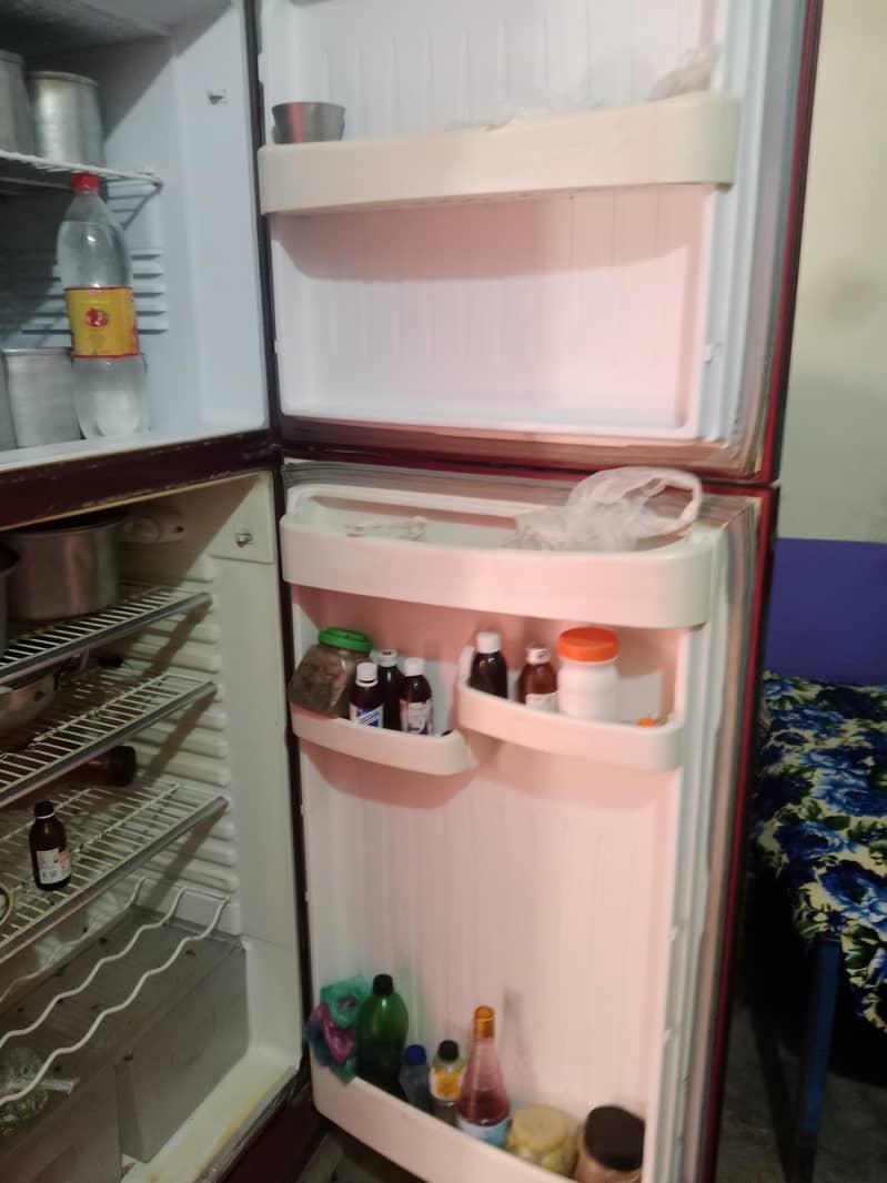 orient fridge 6