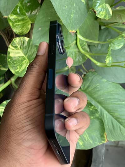 Apple iPhone 14