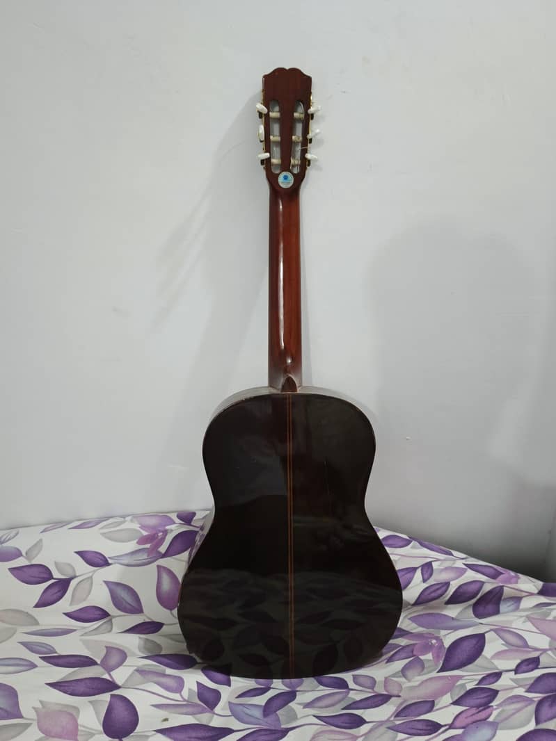 Nylon String Classical Guitar 1