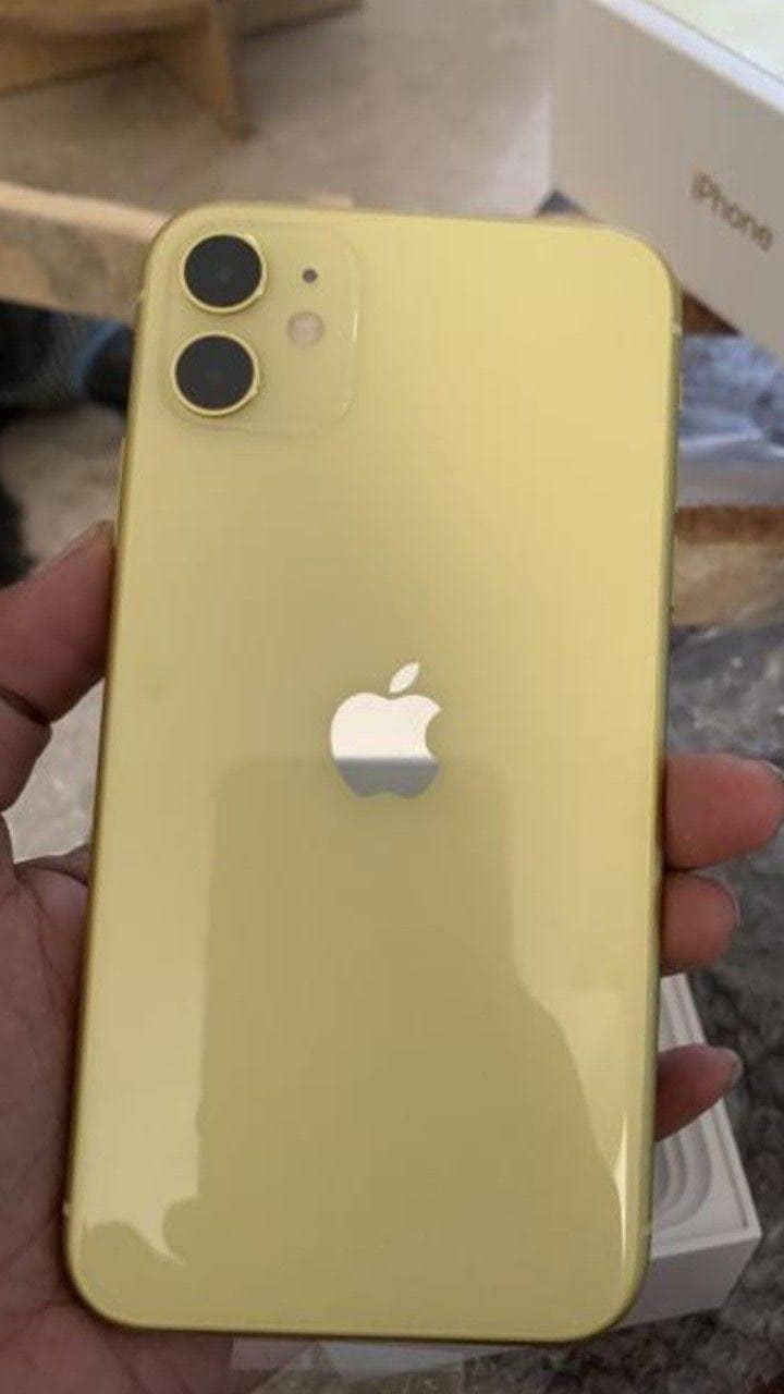 iPhone 11 0
