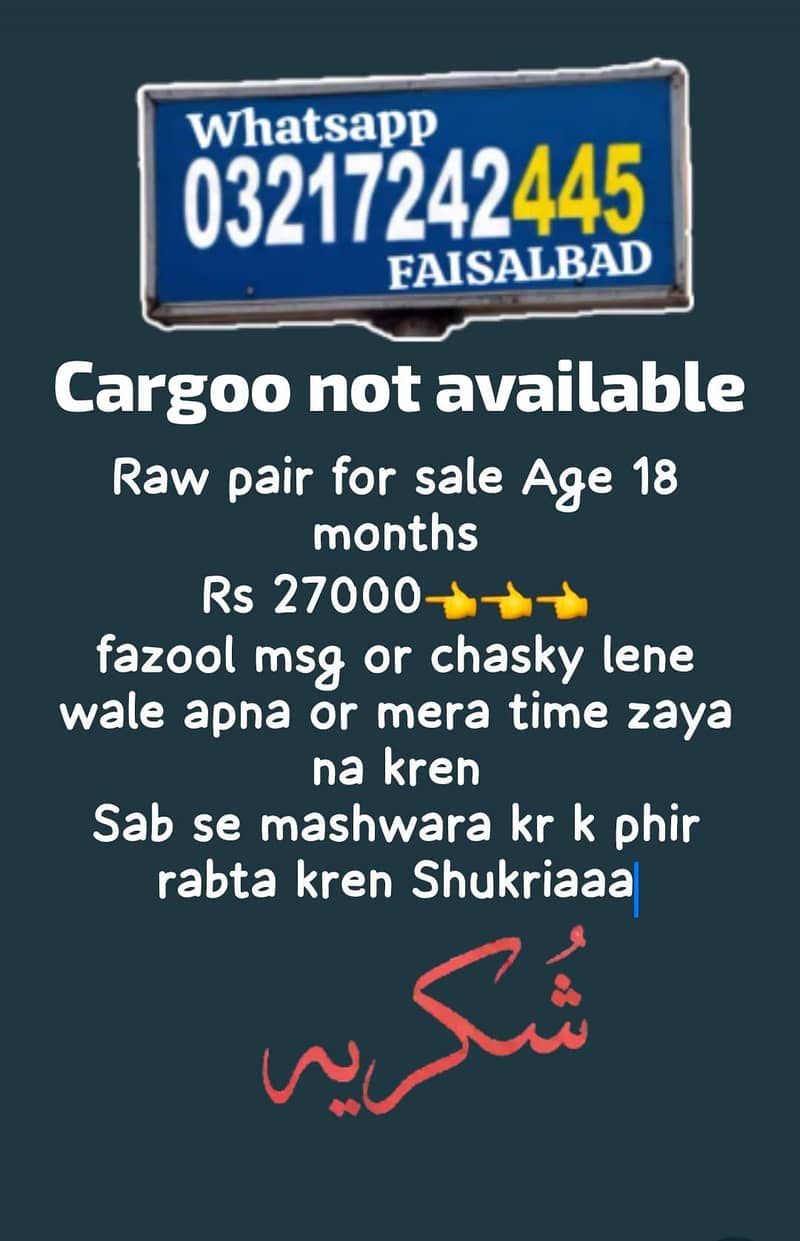 Raw Pair 1