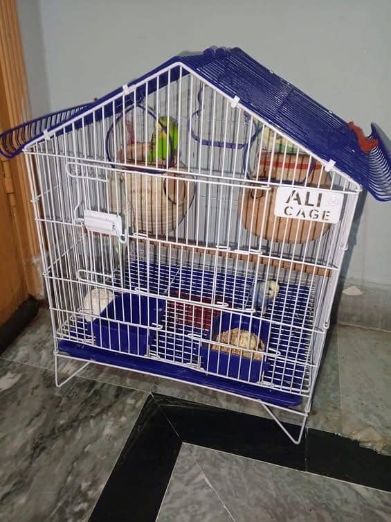 Full setup for sell 1