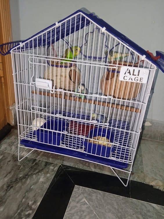 Full setup for sell 2