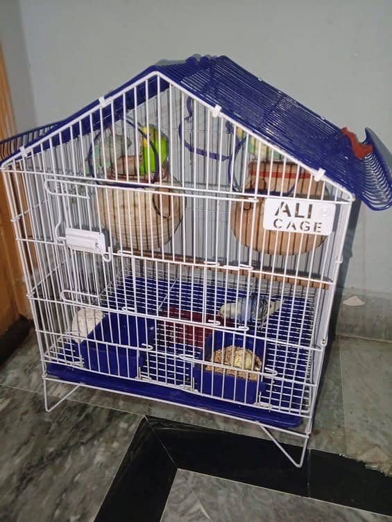 Full setup for sell 5
