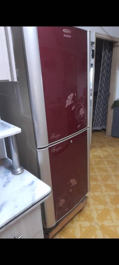 refrigerator inverter