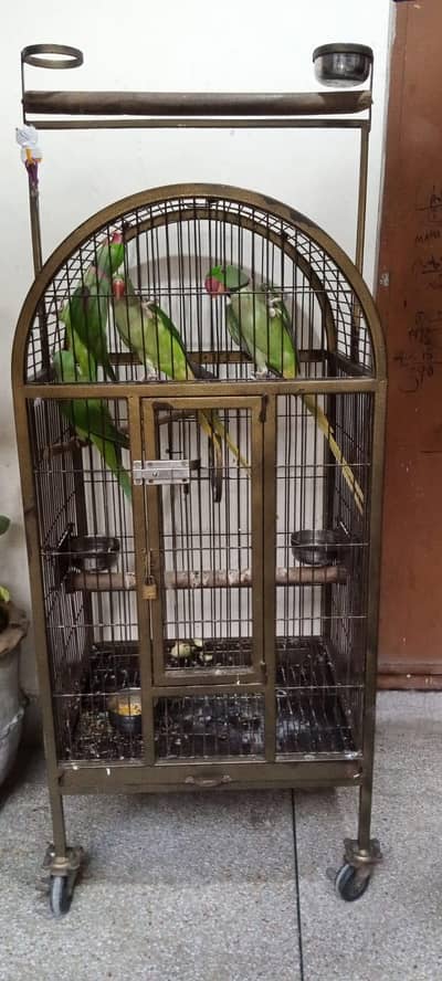 Fancy cage