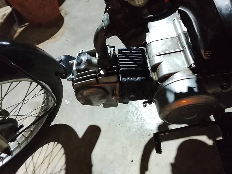 Bionic 2019 10