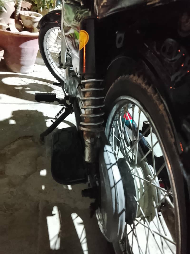 Bionic 2019 11