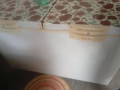 Waves Deep DFreezer Double Door