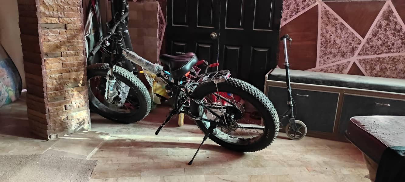 foldable cycle 11