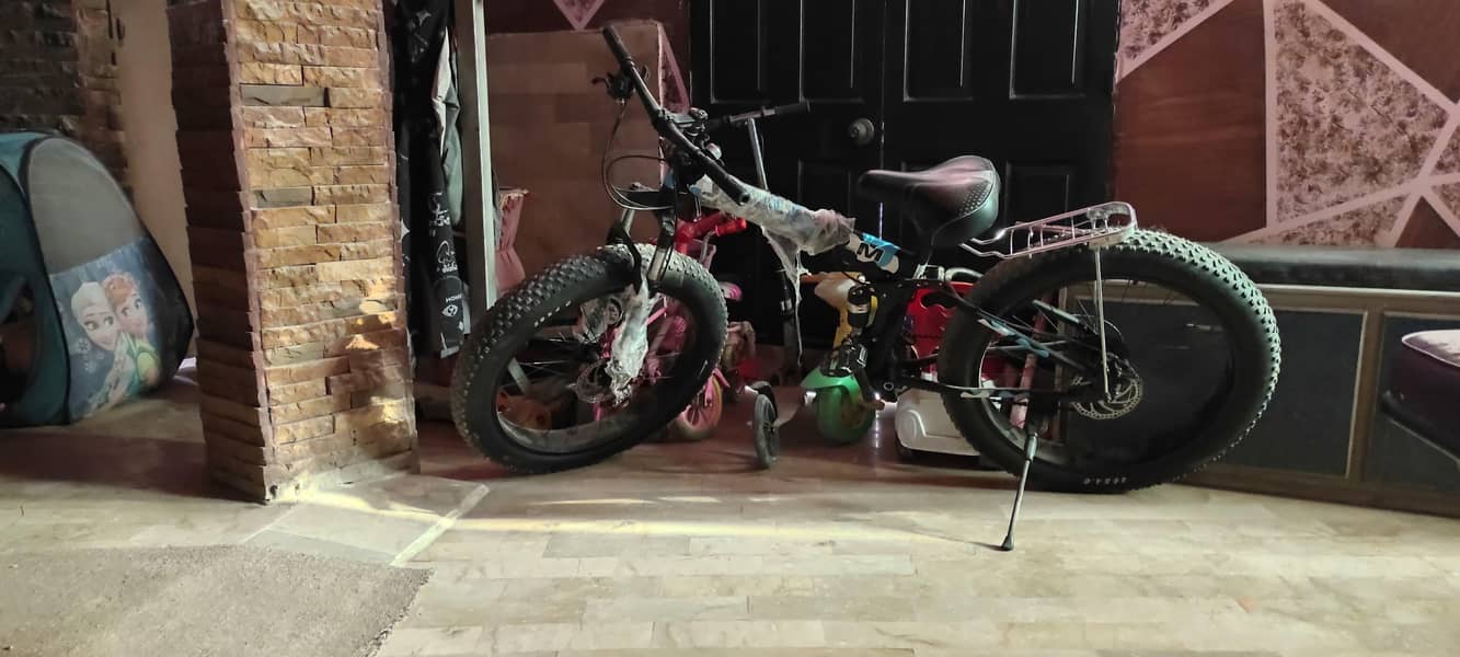 foldable cycle 12