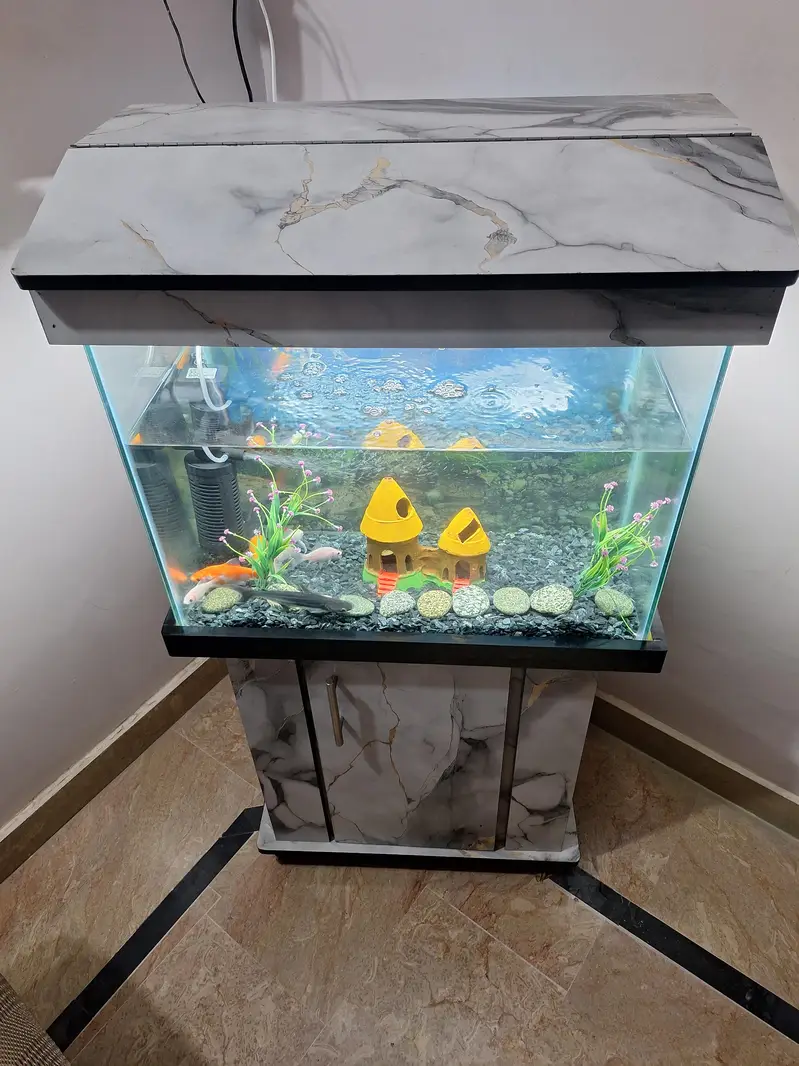 fish and all items — photo 2