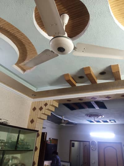 Royal Fan Delux model 56" Pure copper 2-Fans for sale