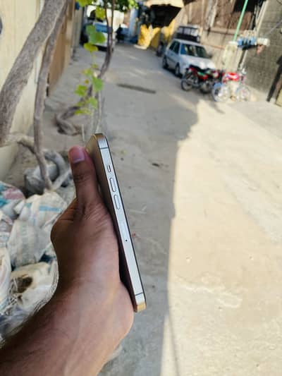 Apple iPhone 13 Pro