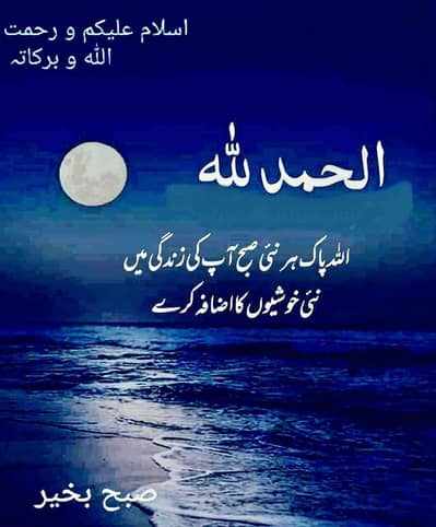 Syed....Sheraz 