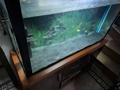 aquarium