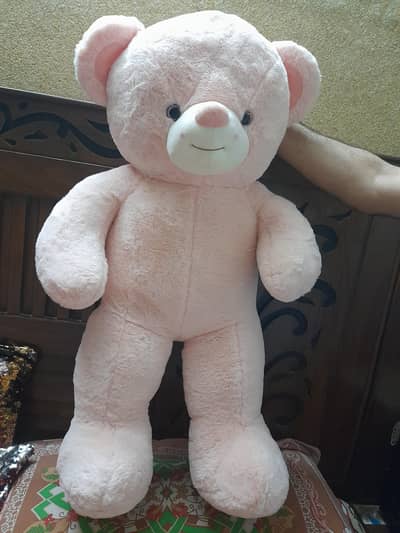 Taddy bear fOr sale