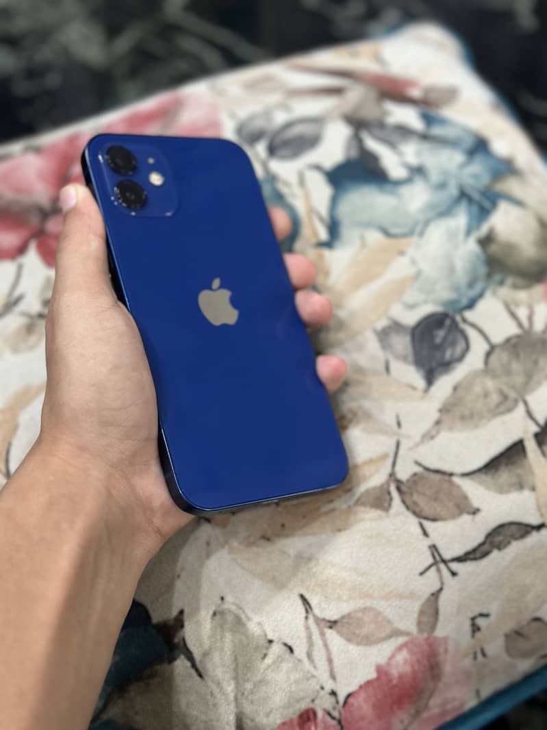 Apple iPhone 12 1