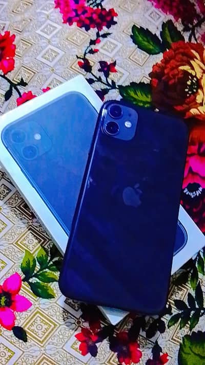 Apple iPhone 11