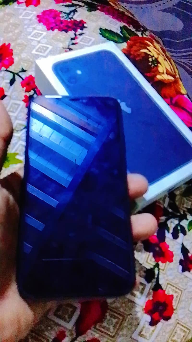 Apple iPhone 11 1