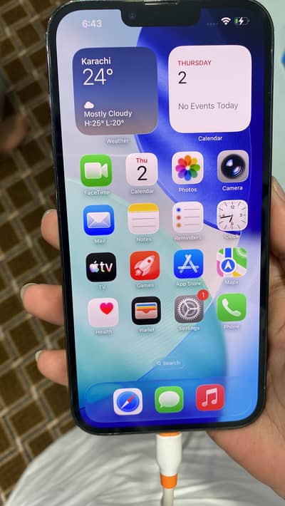 Apple iPhone 13 Pro Max