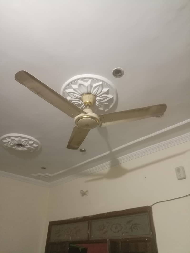 ceiling fan 1