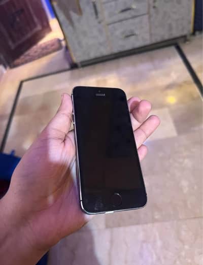 Apple iPhone 5s