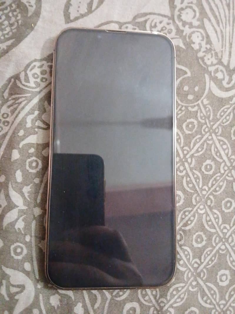 Apple iPhone 13 Pro 1
