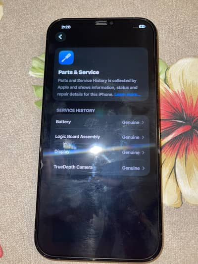 Apple iPhone 12 Pro Max