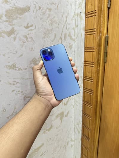 Apple iPhone 12 Pro Max