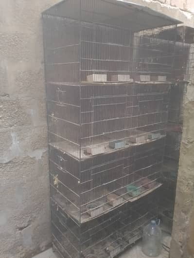 8 portion cages    03032293774