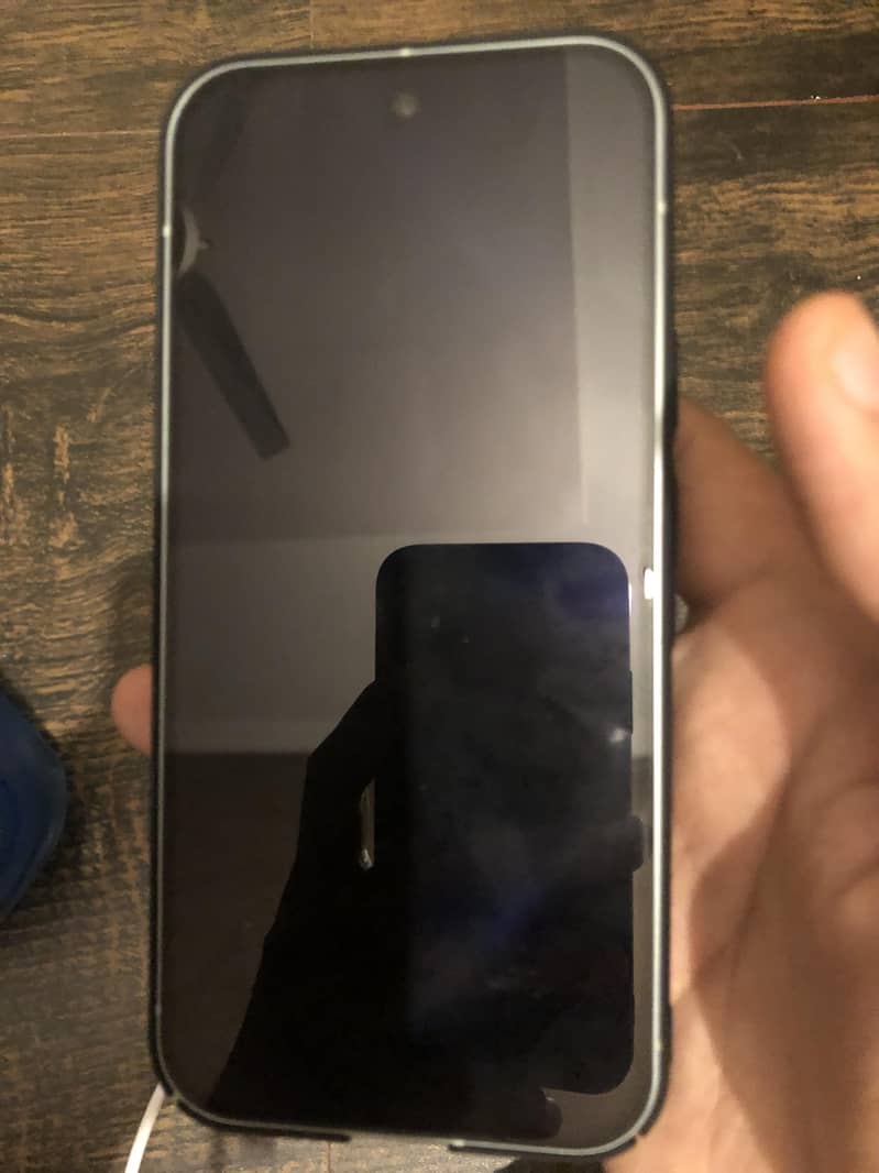 Google Pixel 9 1