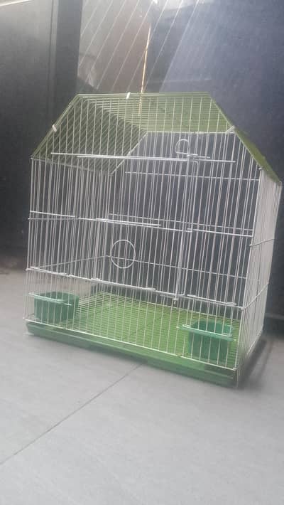 Bird pinjra