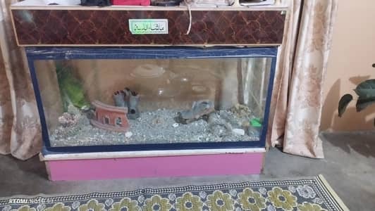 4 ft aquarium urgent sale