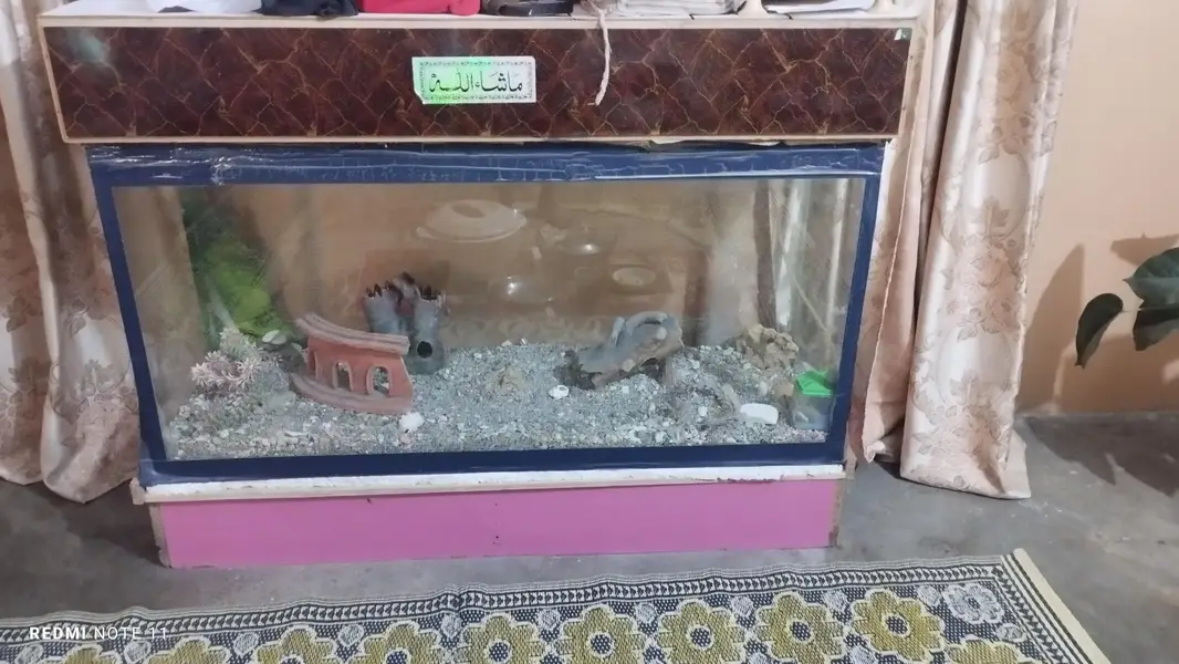 4 ft aquarium urgent sale — photo 2