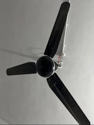 Pure Copper ceiling Fan