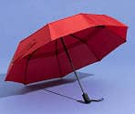 umbrella