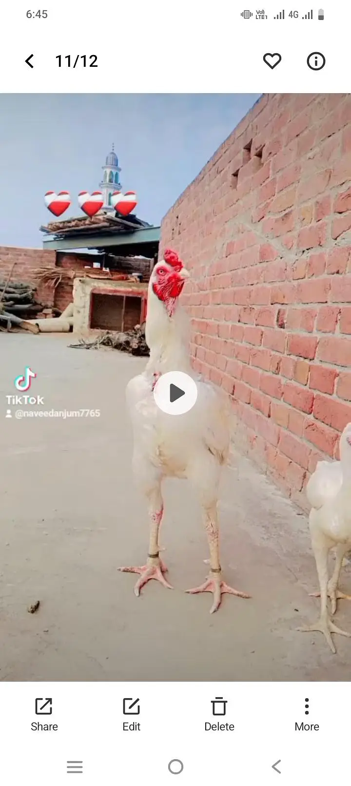 okara road okara punjab — photo 2