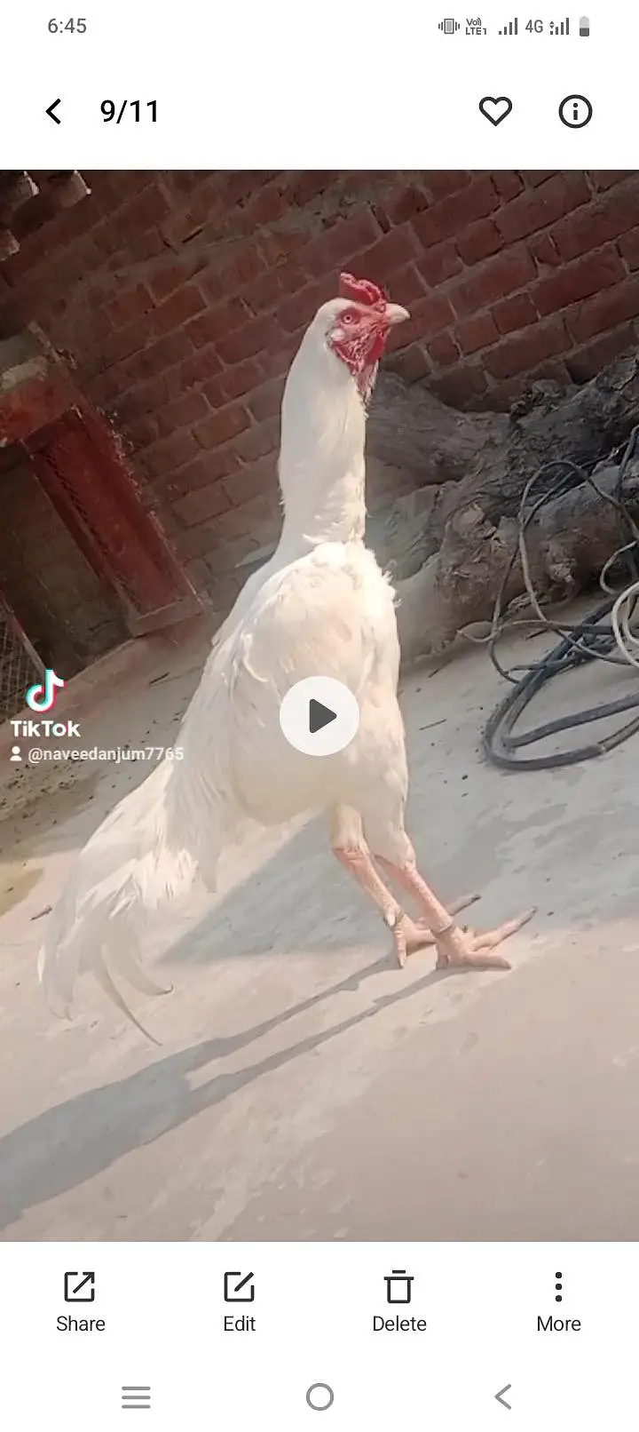 okara road okara punjab — photo 3