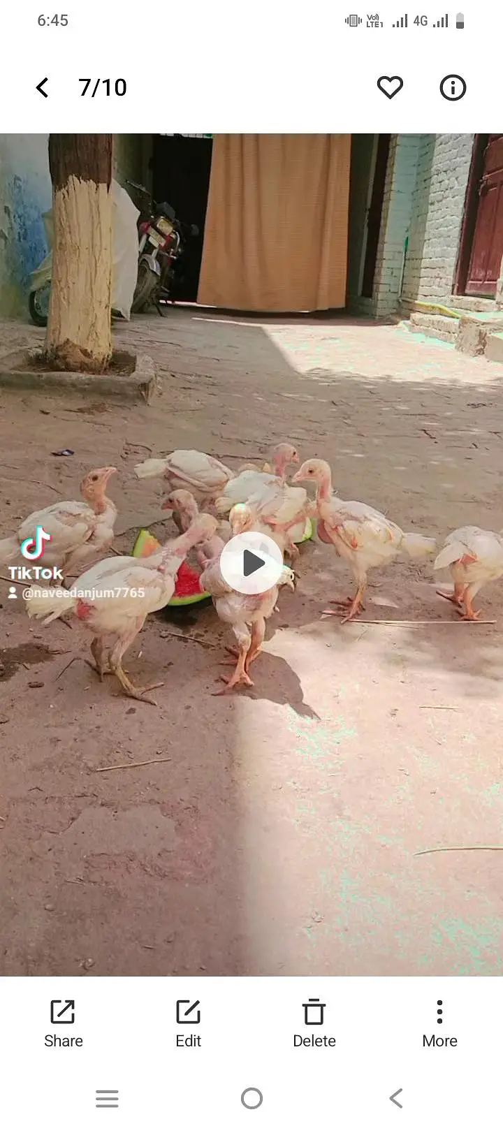 okara road okara punjab — photo 4