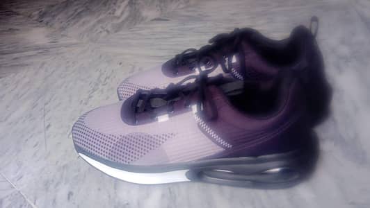 the jogging shoes