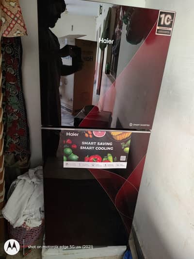 HAIER Refrigerator Medium Sized 2 Doors